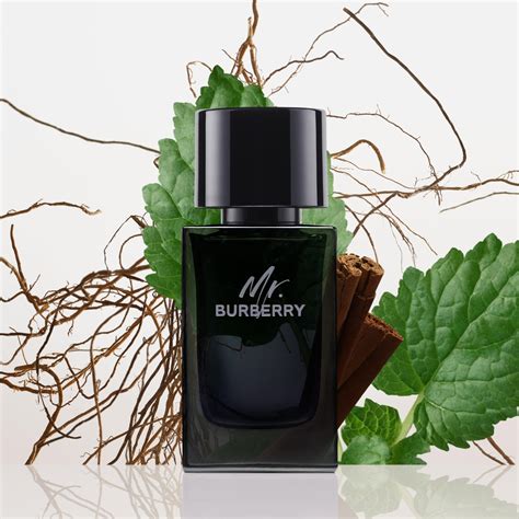 mr burberry doccia|mr burberry eau de parfum.